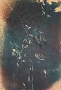  - Stefano Mazzolini