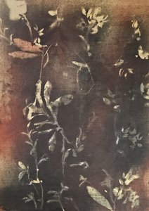  - Stefano Mazzolini