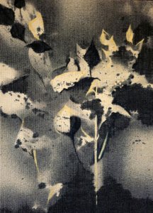  - Stefano Mazzolini