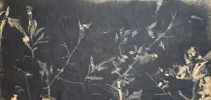 - Stefano Mazzolini