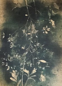  - Stefano Mazzolini