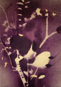  - Stefano Mazzolini