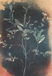  - Stefano Mazzolini