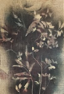  - Stefano Mazzolini