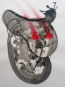  - Stefano Mazzolini