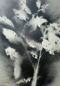  - Stefano Mazzolini