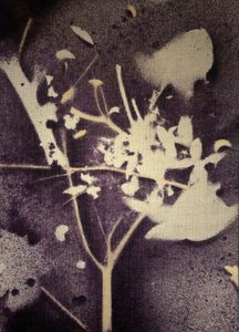  - Stefano Mazzolini