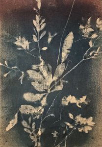  - Stefano Mazzolini