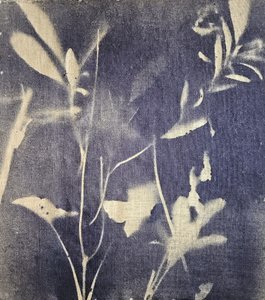  - Stefano Mazzolini