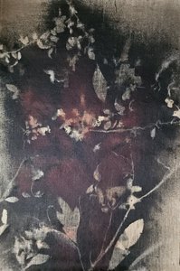  - Stefano Mazzolini