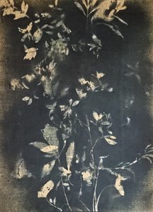  - Stefano Mazzolini