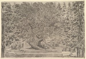 Un grand arbre habité au centre avec des rampes autour du tronc, en bas un chemin de pierre, vers 1653