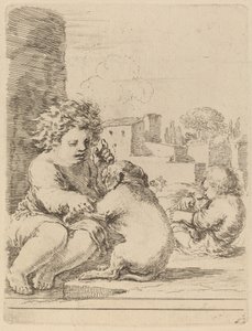 Enfant jouant avec un chien