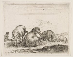 Planche 12 : moutons et bélier dans un pâturage, de Divers animaux
