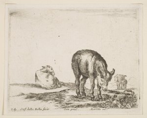 Ânes, de Divers animaux, vers 1641 - Stefano della Bella