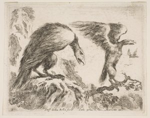 Planche 2 : aigle et aiglon, de Divers animaux - Stefano della Bella