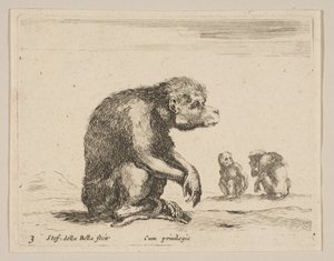 Singe assis, de Diversi animali - Stefano della Bella