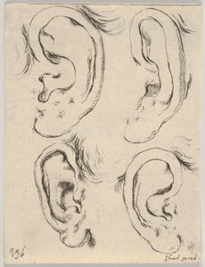 Planche 5: quatre oreilles, du Livre pour apprendre à dessiner, vers 1649