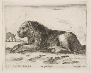 Lion couché, de Diversi animali - Stefano della Bella