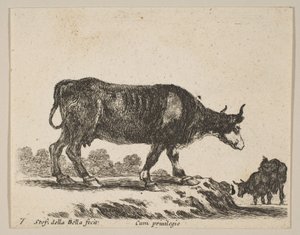 Vache, de Divers animaux - Stefano della Bella