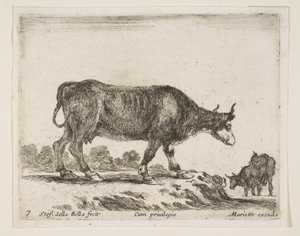 Planche 7 : bœuf, de Divers Animaux - Stefano della Bella