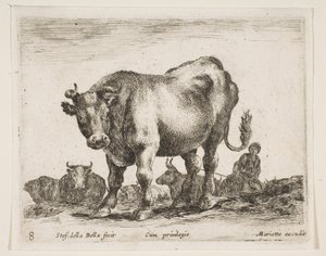 Planche 8 : vache, de Divers animaux Diversi animali, vers 1641 - Stefano della Bella