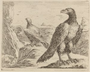 Deux aigles, tous deux tournés vers la gauche - Stefano della Bella