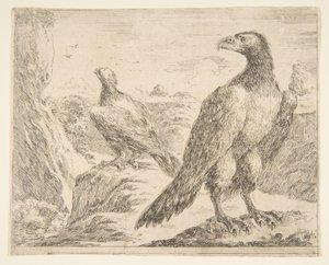 Deux aigles, des Aigles Les aigles, vers 1651 - Stefano della Bella