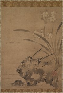Bergeronnettes et narcisses