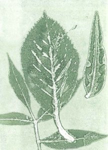 Gone IX, 2015 (monoprint sur papier) - Stephen Dow