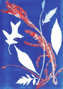 Jol I, 2017 (monoprint sur papier) - Stephen Dow
