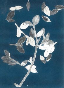 Midnight Garden II, 2015 (monoprint sur papier) - Stephen Dow