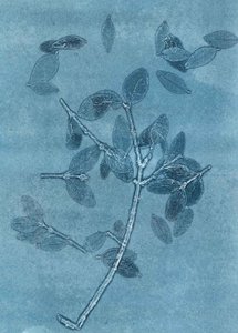 Midnight Garden I, 2015 (monoprint sur papier) - Stephen Dow