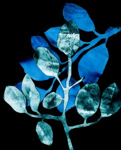 Jardin nocturne, 2017 (numérique, à partir d