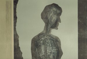 la Foret XII, 2017 (collage) - Stephen Dow
