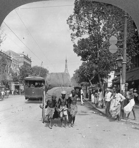 Rue Dalhousie, la plus animée de la ville, Rangoon, Birmanie, 1908