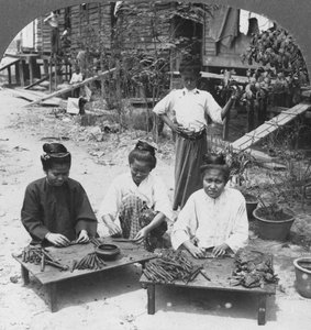 Fabrication des énormes cigares fumés par les femmes, Birmanie, 1908 - Stereo Travel Co