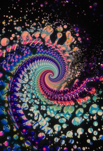 Spirale morte, 2024