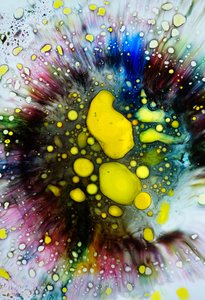 Tie Dye Splatter, 2024 - Steve Pavlovsky