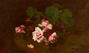Roses en fleurs