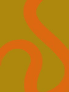 Lignes orange fluides - Studio Palette