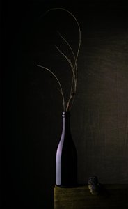 Nature morte à la bouteille sombre - Sumit Dhuper