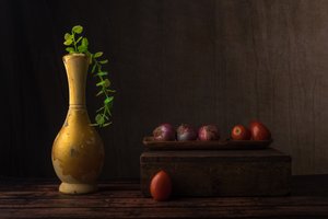 Nature morte rustique sombre - Sumit Dhuper