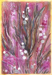 Plantes au magenta éclatant