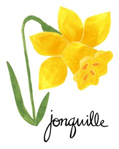Illustration d