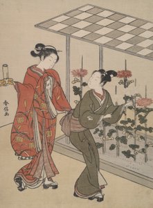Observation des chrysanthèmes - Suzuki Harunobu
