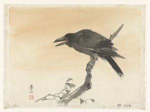 Corbeau