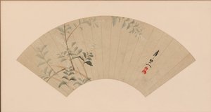 Trèfle des buissons - Suzuki Kiitsu