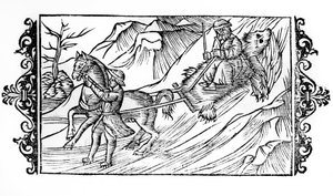 Cheval traînant sur la neige une peau d