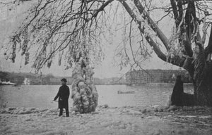 Aux Eaux-Vives à Genève, Hiver 1896